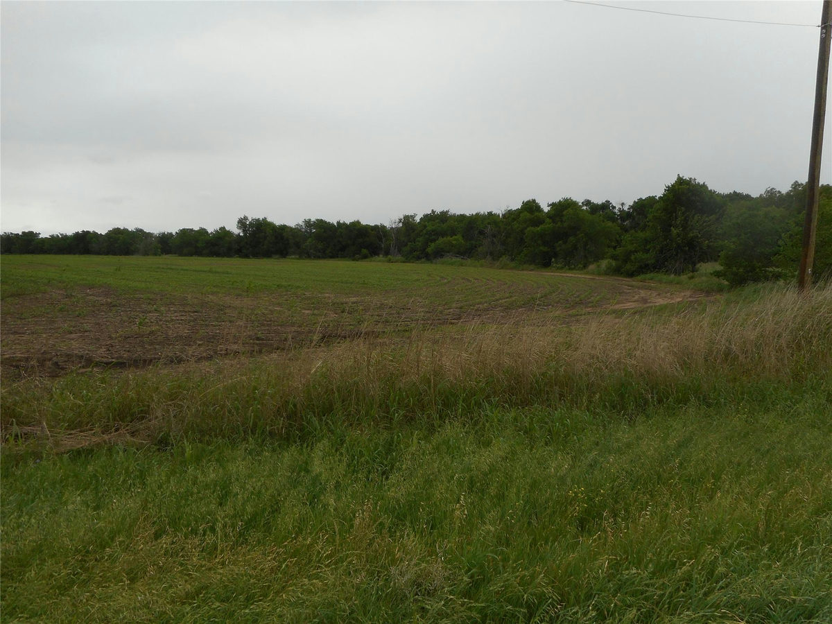 TBD N Fm 619 Rd — photo 3