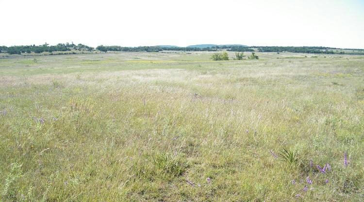 00 Westfall Dr — photo 3