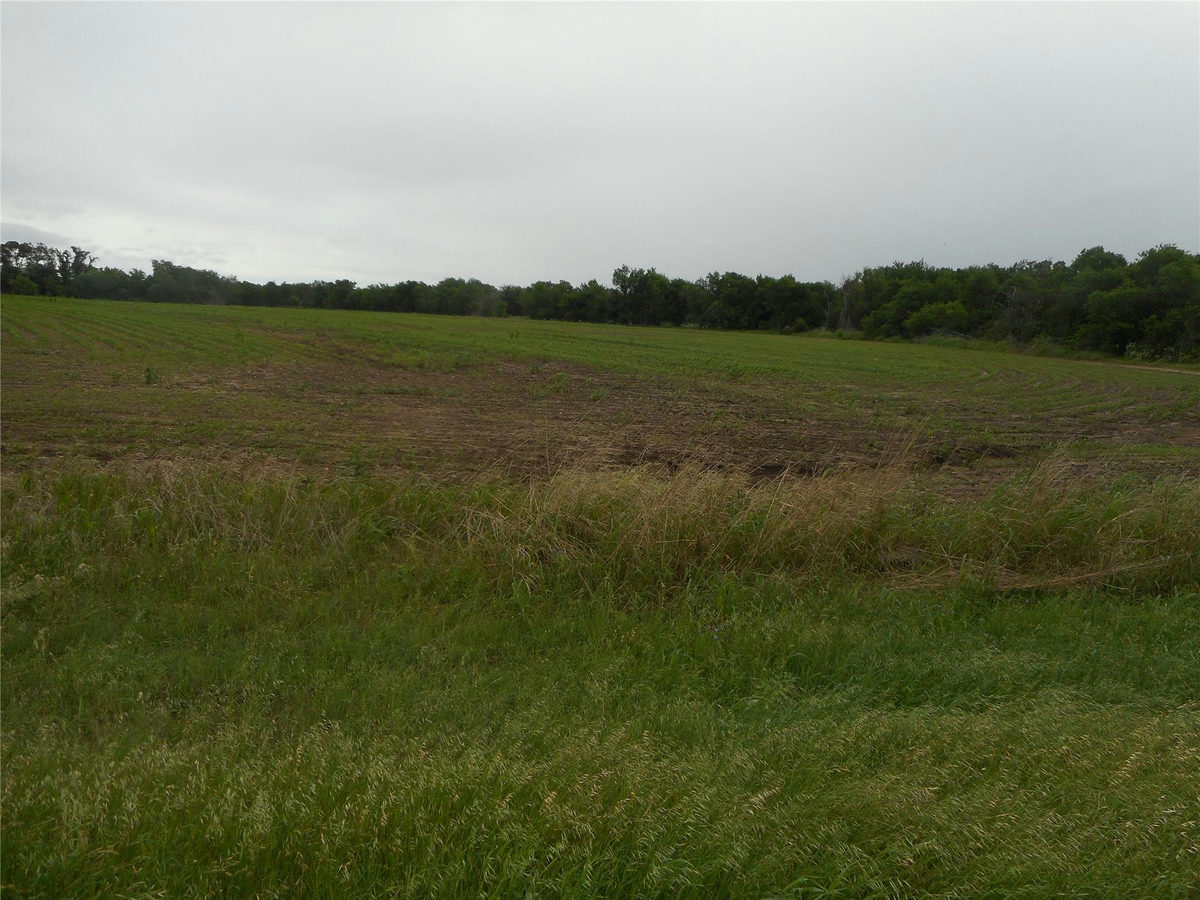 TBD N Fm 619 Rd — exterior