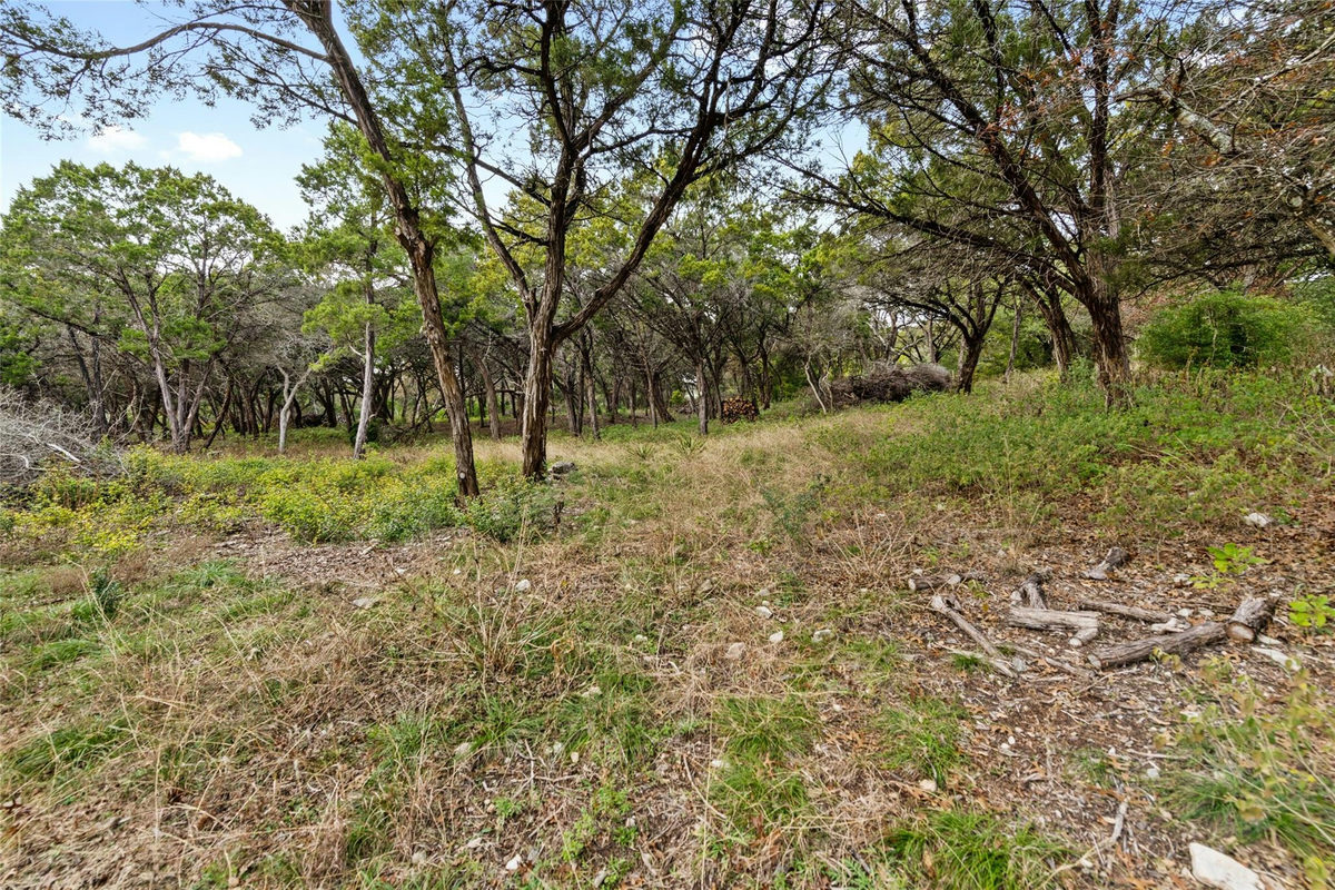 1453 Wild Basin Ledge St — photo 4