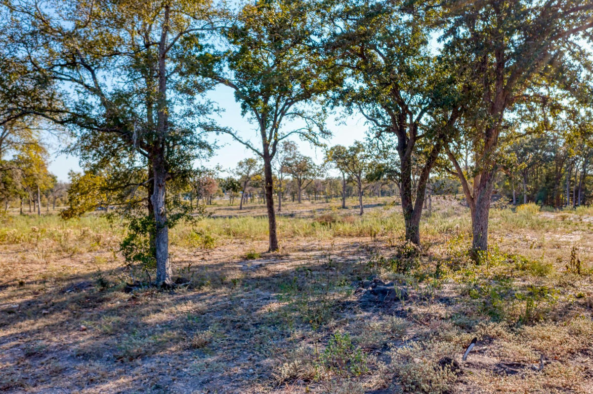 9202 Lockwood Springs Rd — photo 5