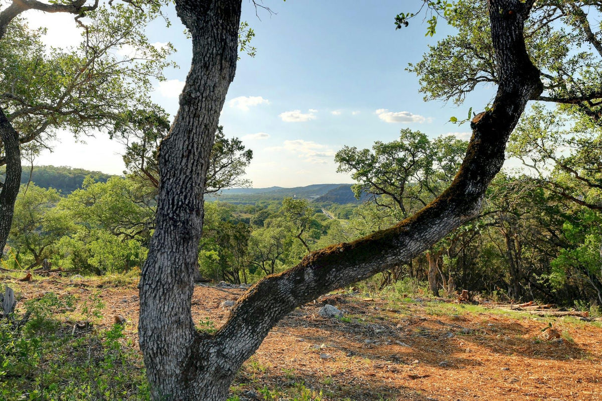 10700 FM306 — photo 4