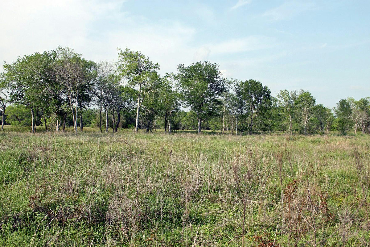 3223 Old Kelley Rd — photo 4