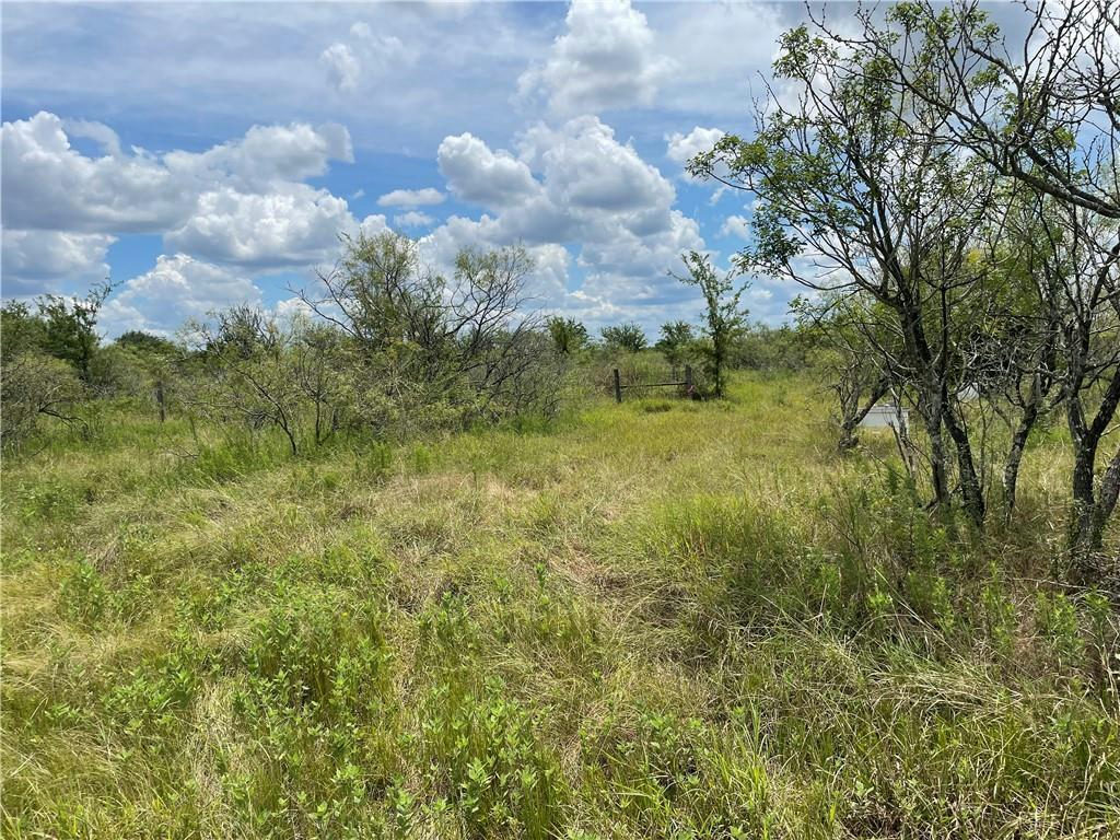 9025 Burklund Farms Rd — photo 3