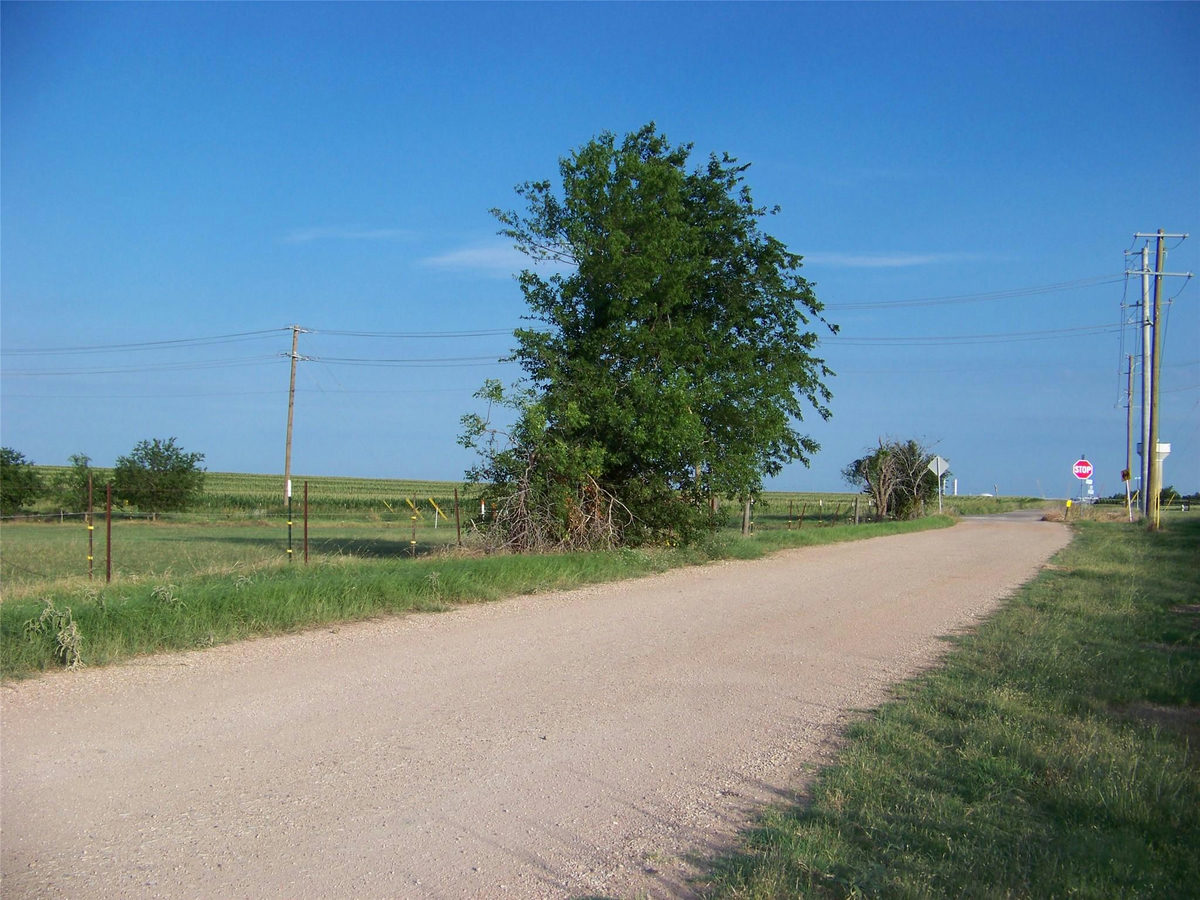 151 County Road 398 Rd — photo 4