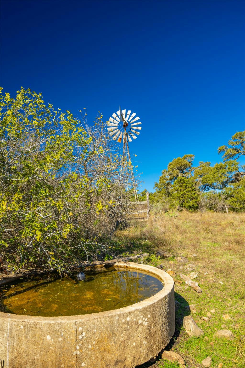 0 Quail Run Dr — photo 4