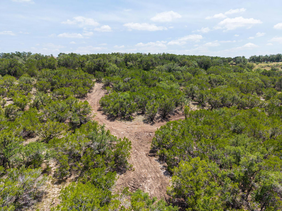 23519 Pedernales Canyon Trl #6 — photo 4