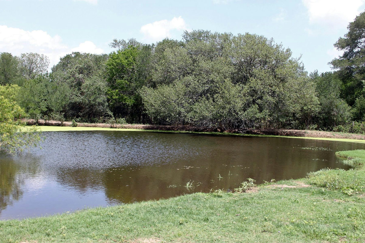 9411 FM 86 Hwy — exterior