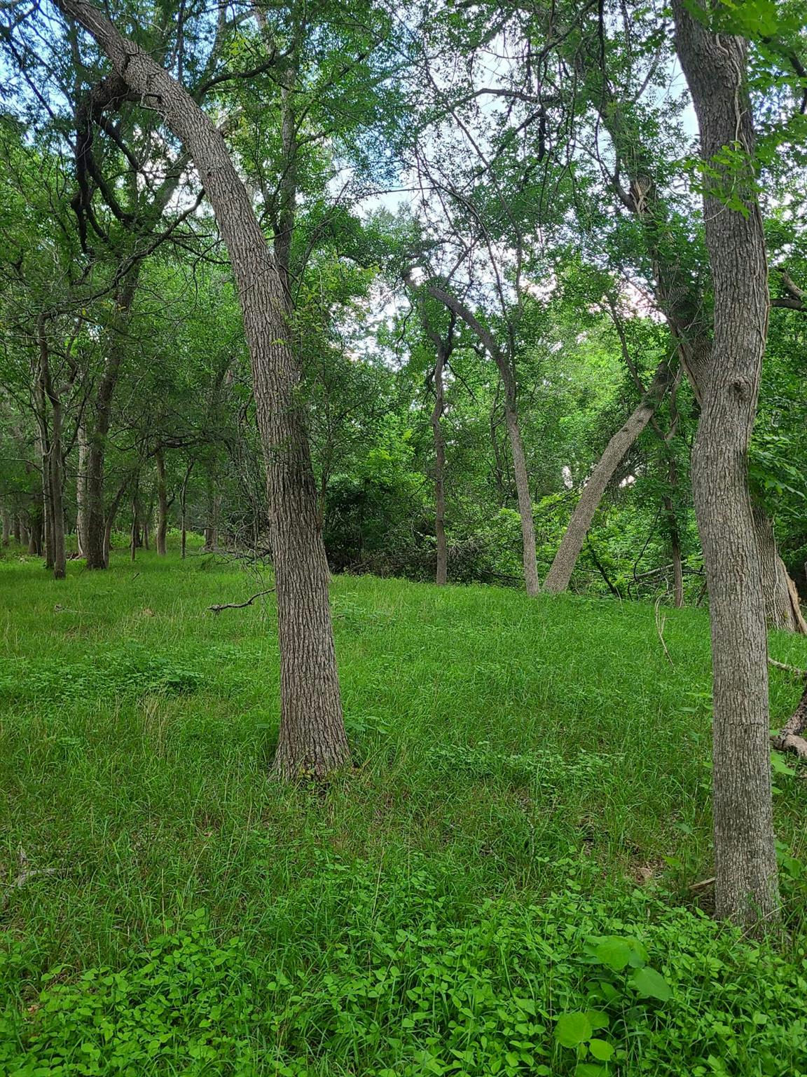 9411 FM 86 Hwy — photo 4