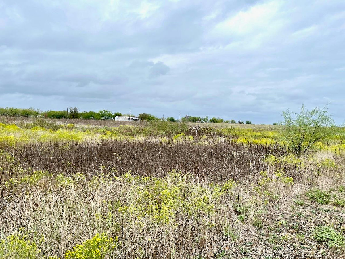 11604 Moore Rd — photo 2