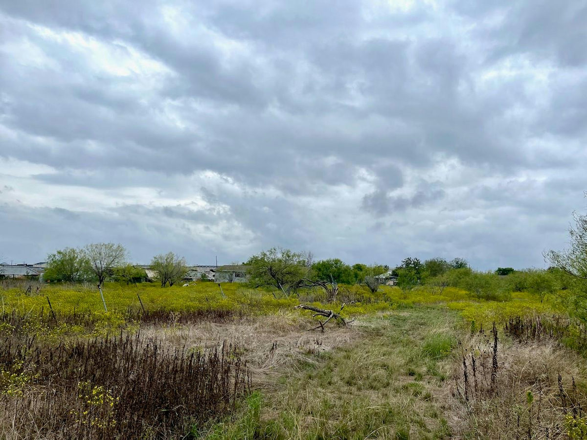 11604 Moore Rd — photo 3