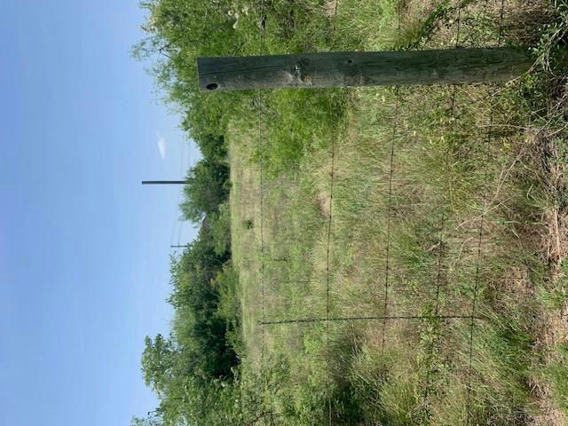 1501 N Burleson St — photo 5