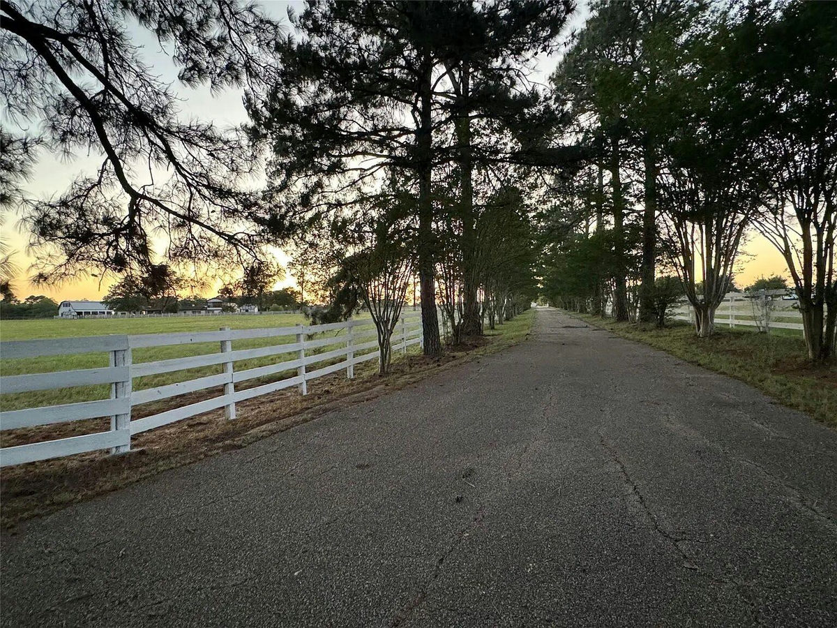 2520 Hwy 304 — photo 2