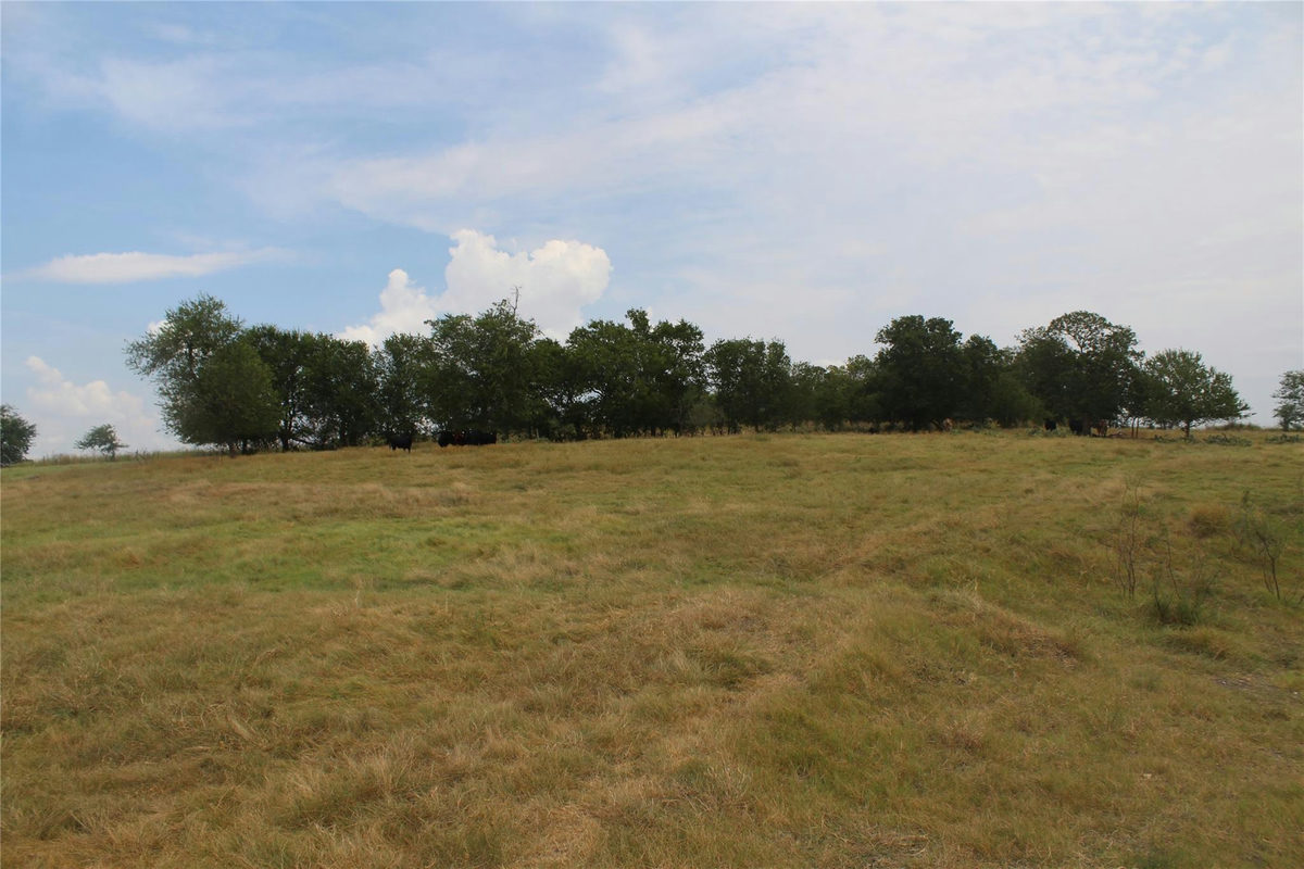 TBA County Road 417 — photo 3