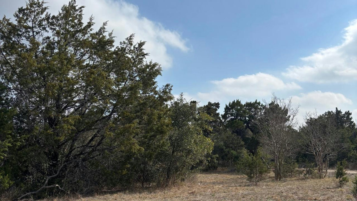 829A Castle Ridge Rd — photo 4
