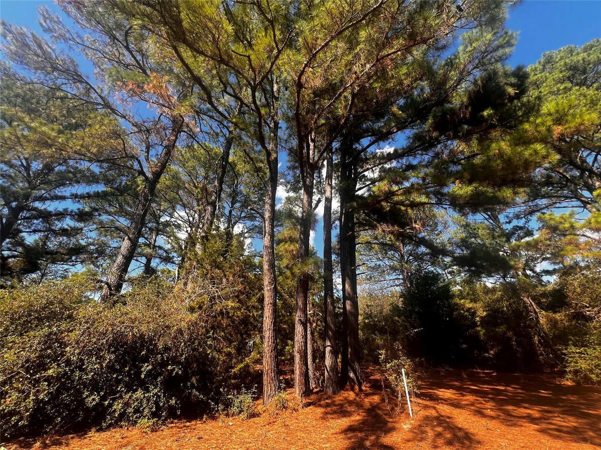 411 Laura Ln — photo 2