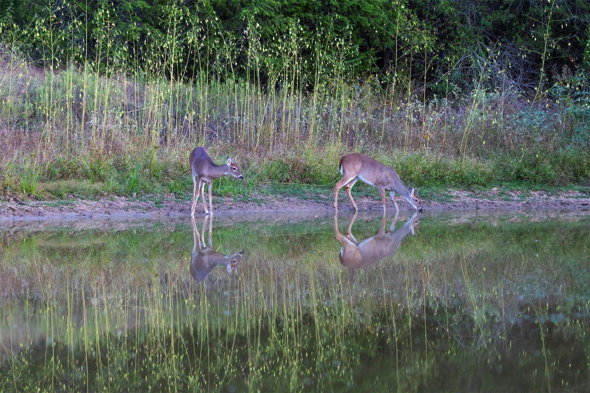 1400 Fm 535 — photo 4