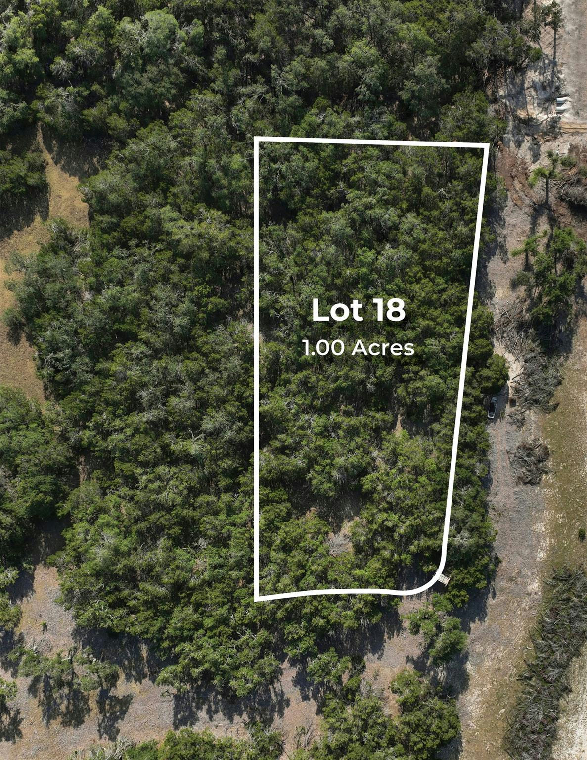 TBD Kestrel Cv — photo 4