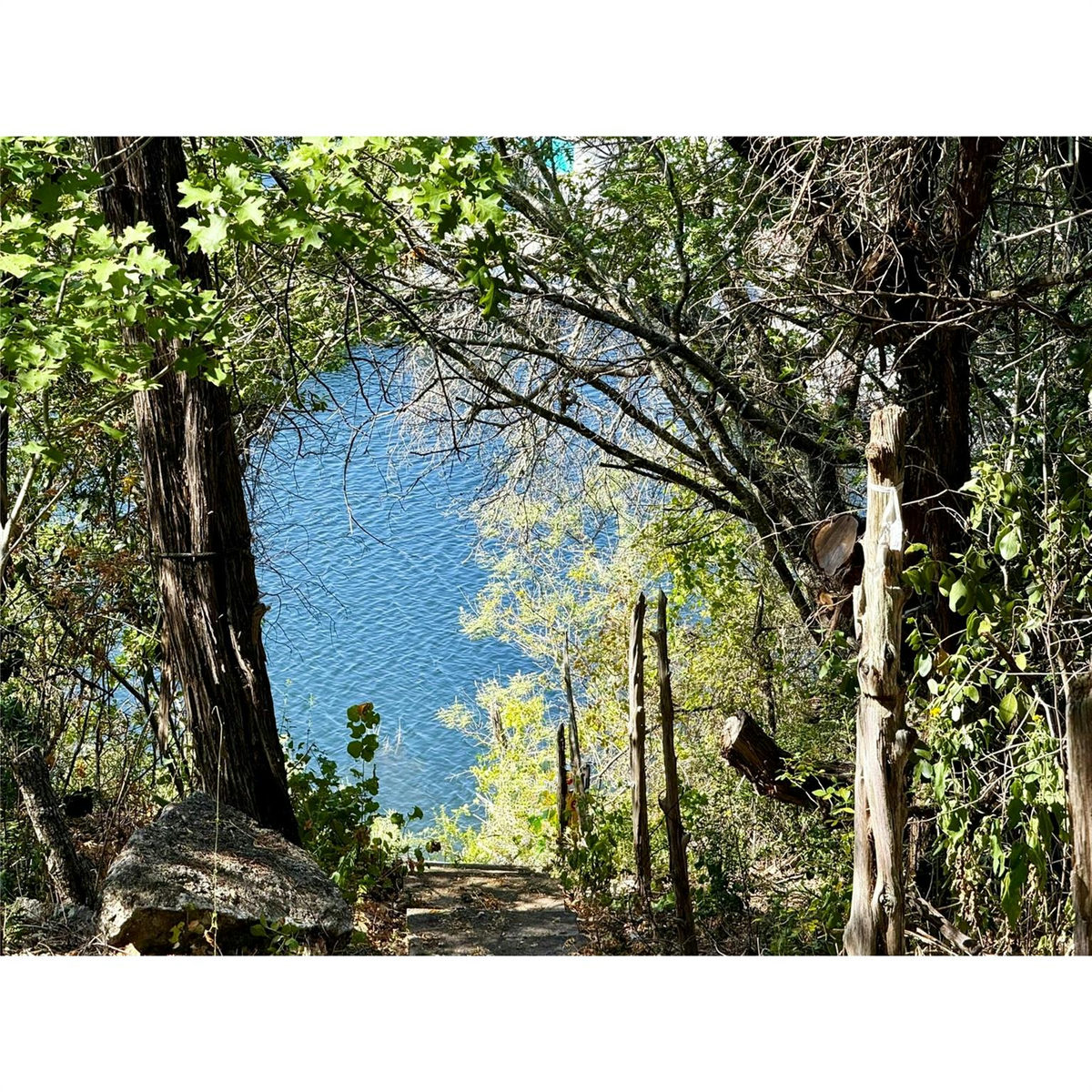 14456 Agarita Rd — photo 4