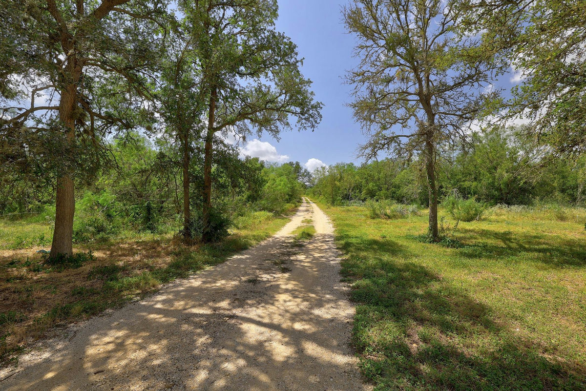 326 The Forest Rd — photo 3