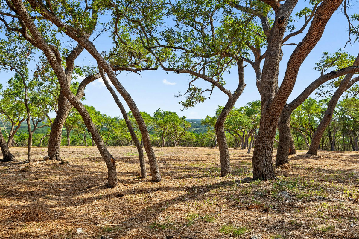 9475 FM 32, Lot 9 — photo 5