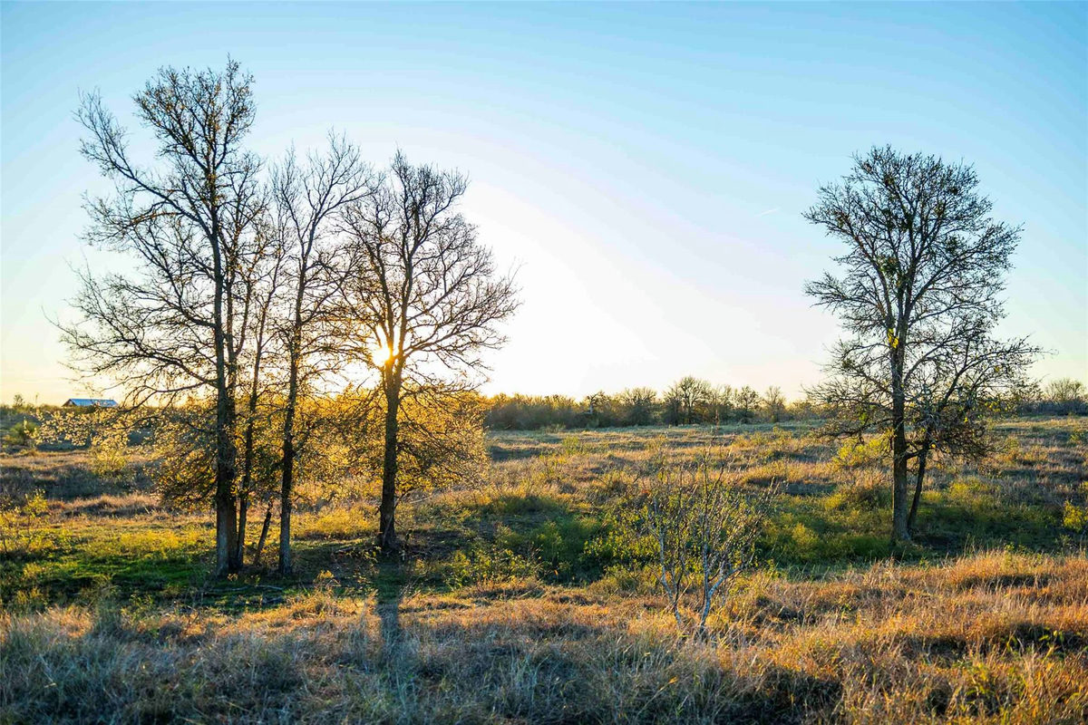 3191 County Road 463 — exterior