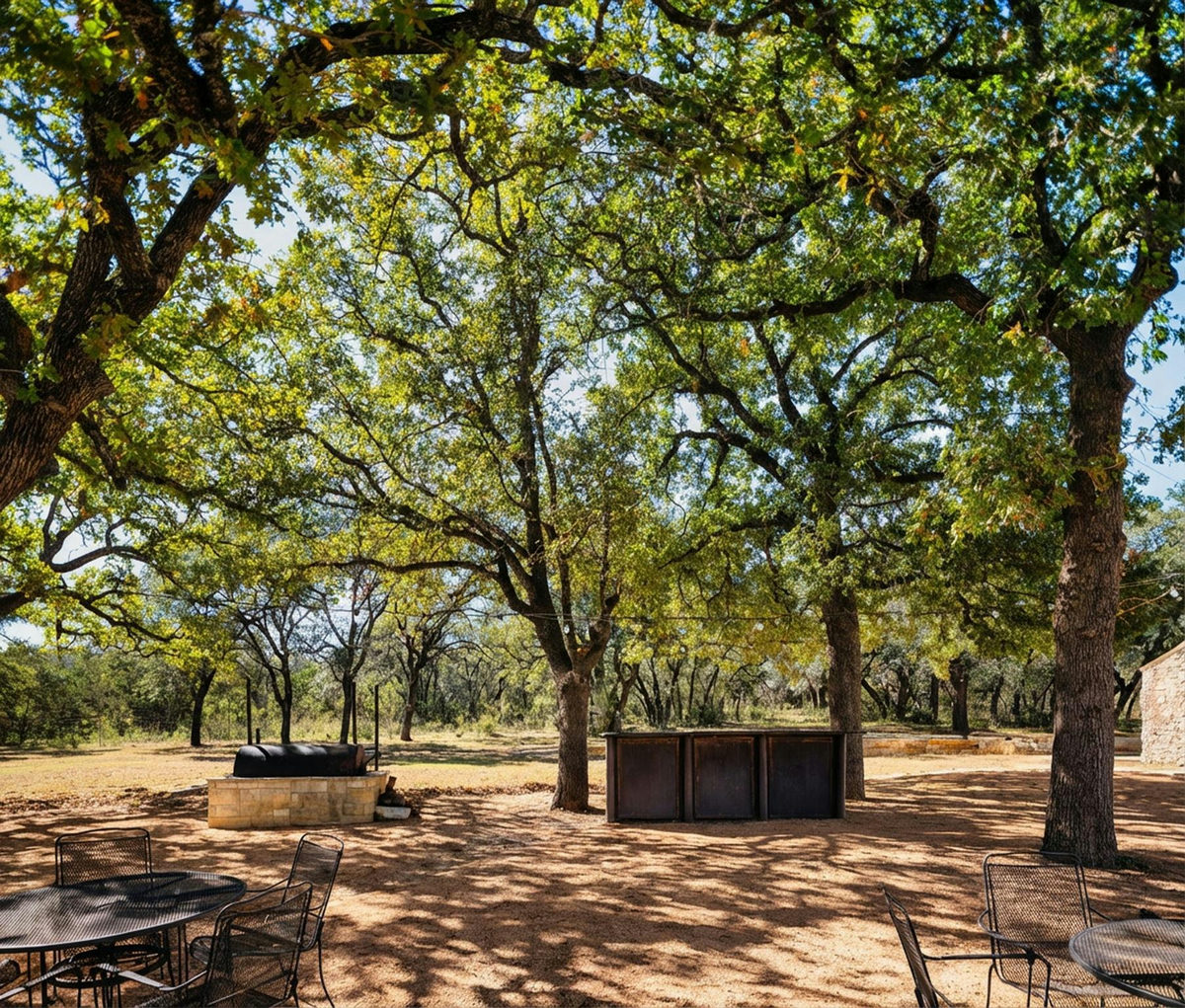 25711 Hamilton Pool Rd — photo 3