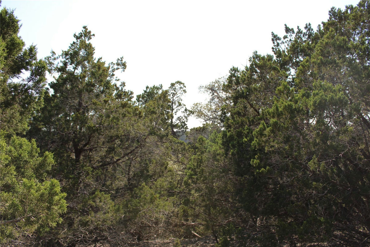 251 Serenity — photo 4