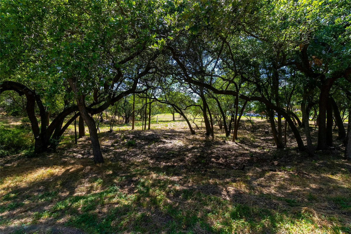 420 Blanco River Ranch Blvd — photo 5