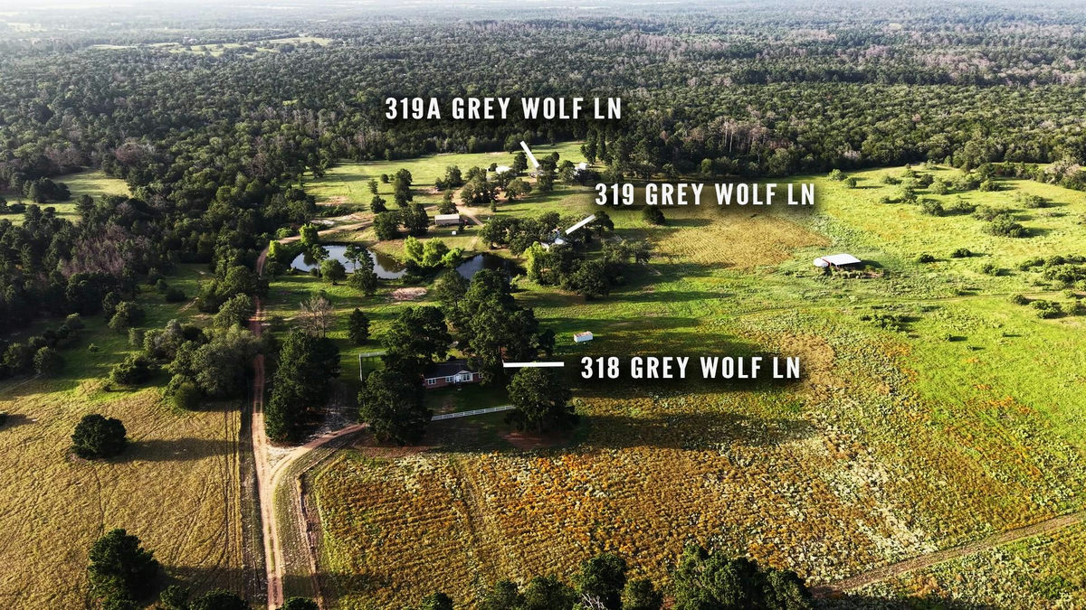 318 Grey Wolf Ln — photo 3