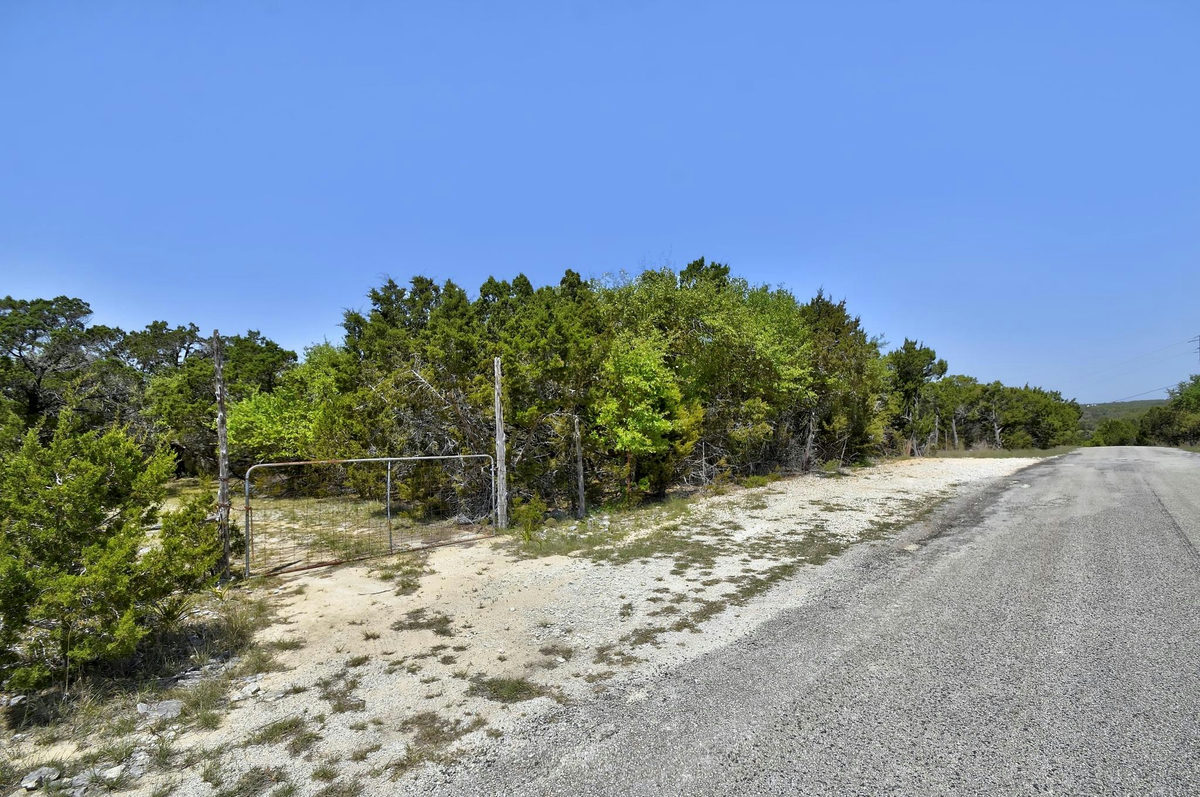 701 Plant Lady Ln — photo 4