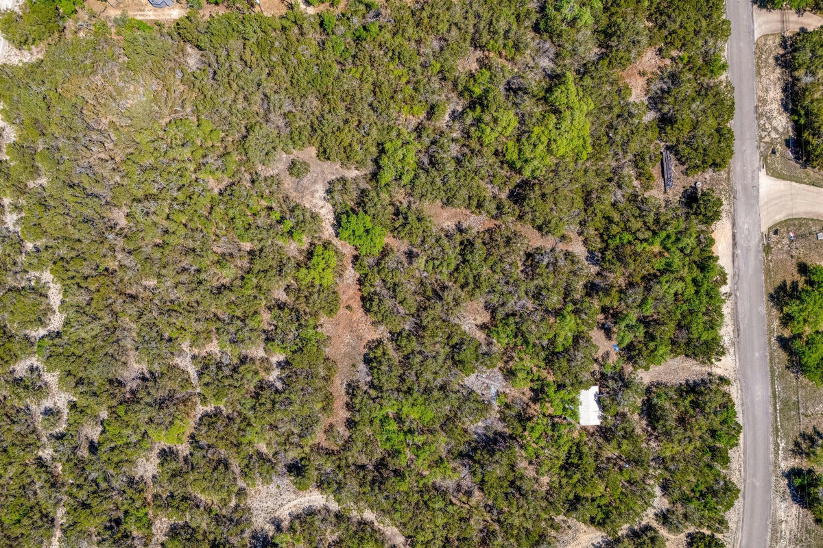 701 Plant Lady Ln — photo 3