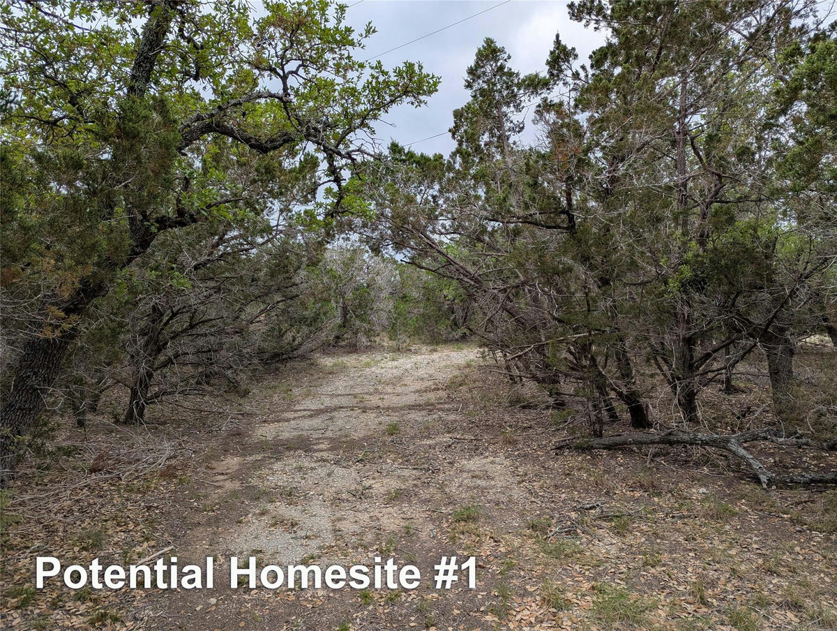 701 Plant Lady Ln — photo 5