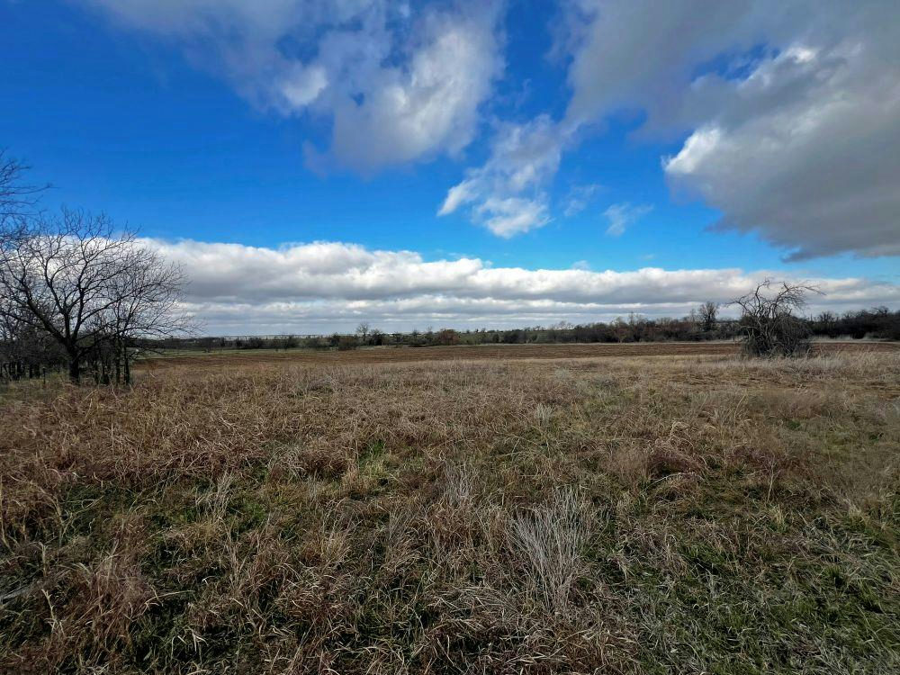TBD County Road 196 — photo 4
