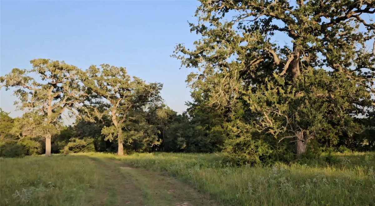 Ranch Land Easley Rd — photo 2