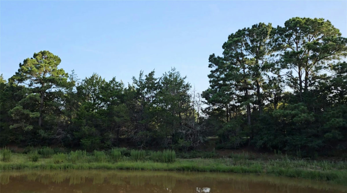 Ranch Land Easley Rd — photo 5