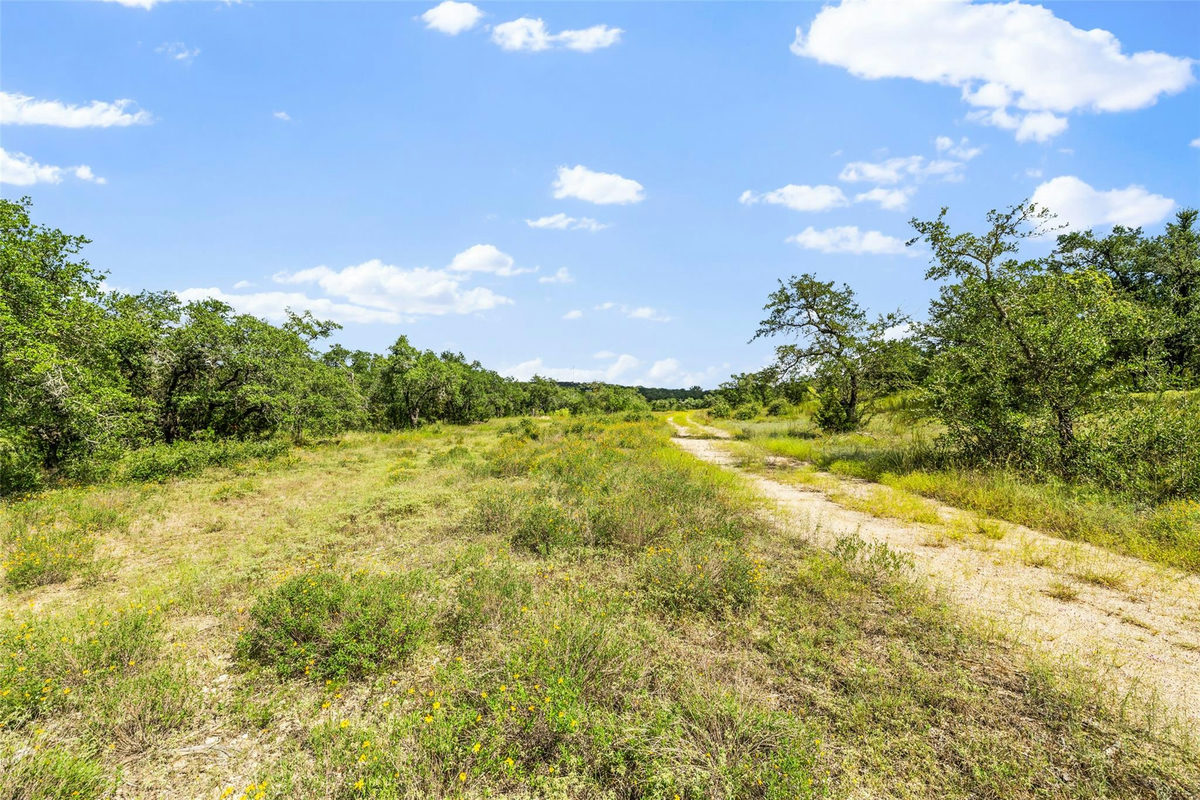 3817 Hart Hollow Dr — photo 5