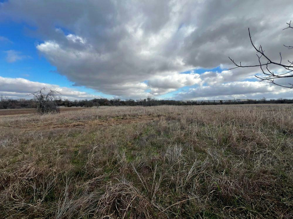 TBD County Road 196 — photo 4