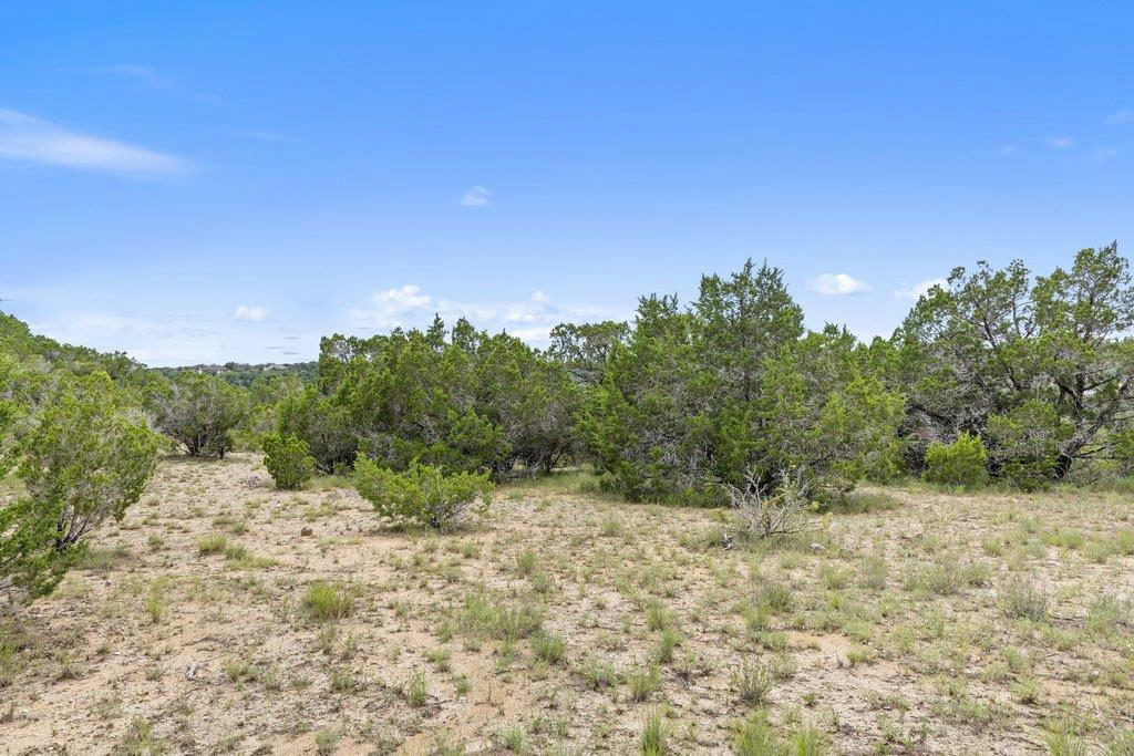 19401 Tessa Heights Ln — photo 3