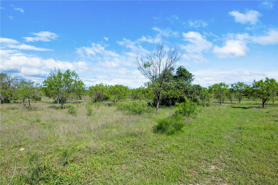 TBD County Road 236 — photo 4