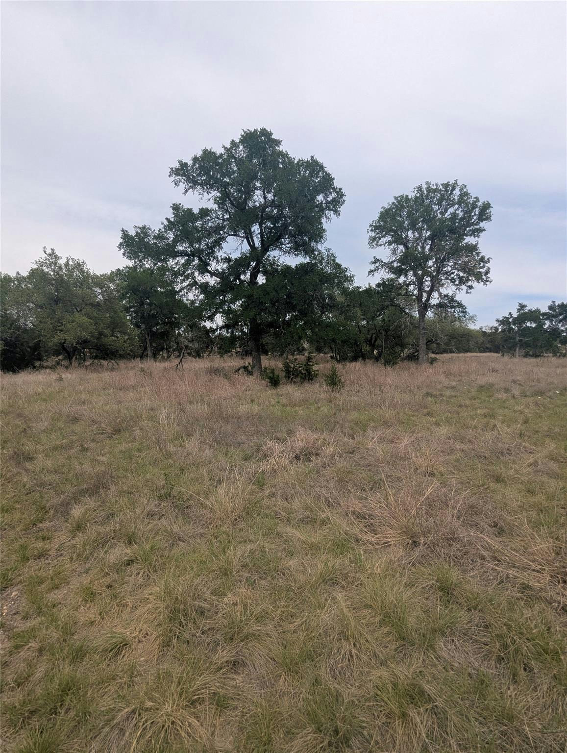 Lot 3 Bell Springs Rd — photo 3