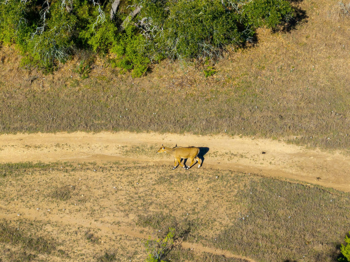 125 Acres Pump Station Rd — photo 4