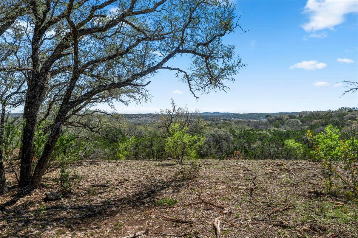 25723 Hamilton Pool Rd — photo 5