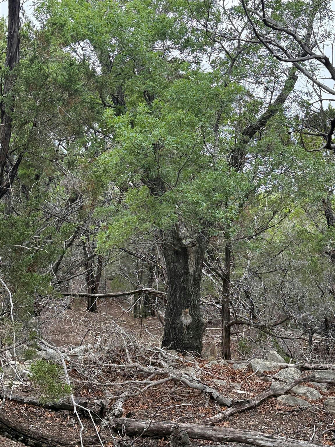 0000 Lakehurst Rd — photo 5