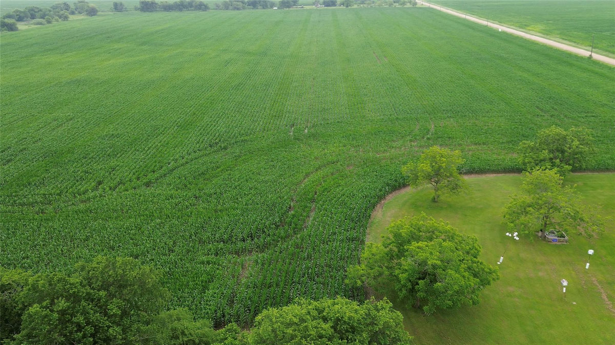 3501 County Road 409 — photo 4