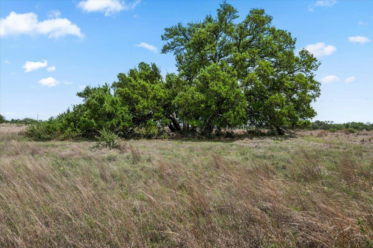 6594 W Hwy 290 — photo 4