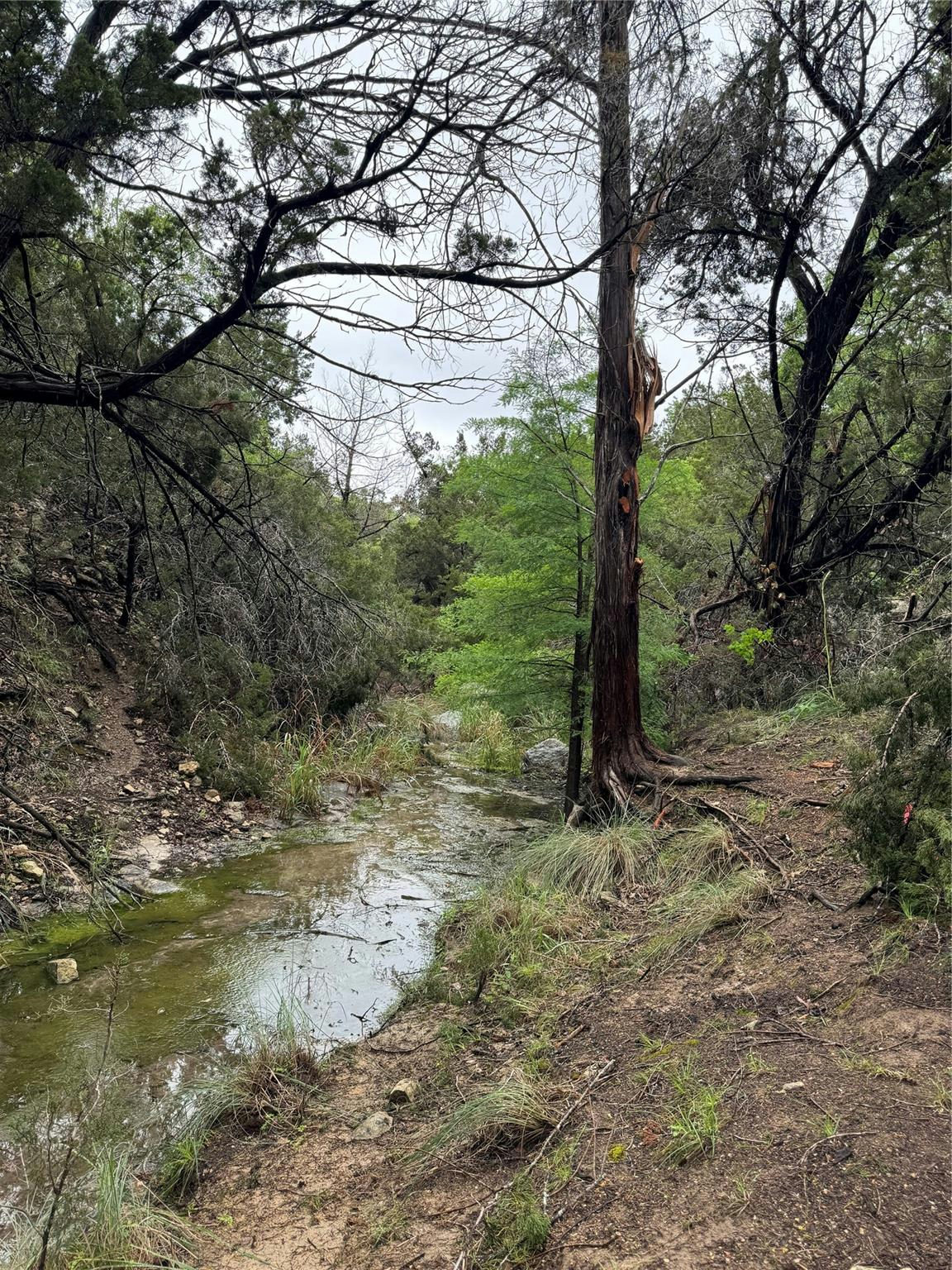N/A Windy Hills Rd — photo 3