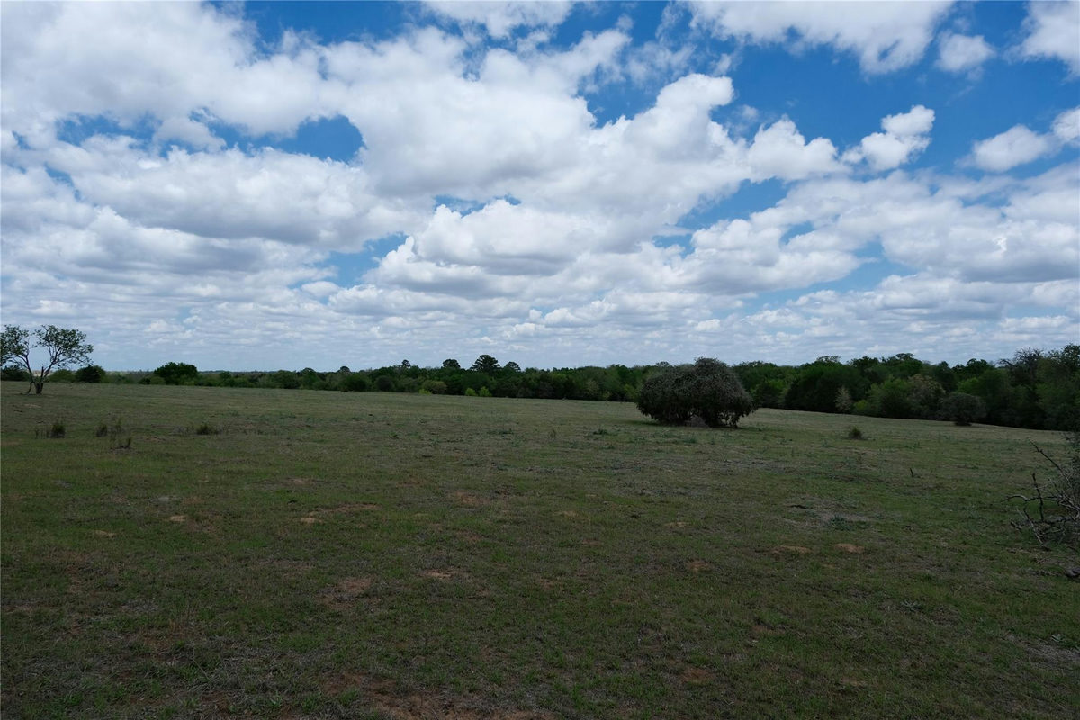 446 Herron Trl — photo 2