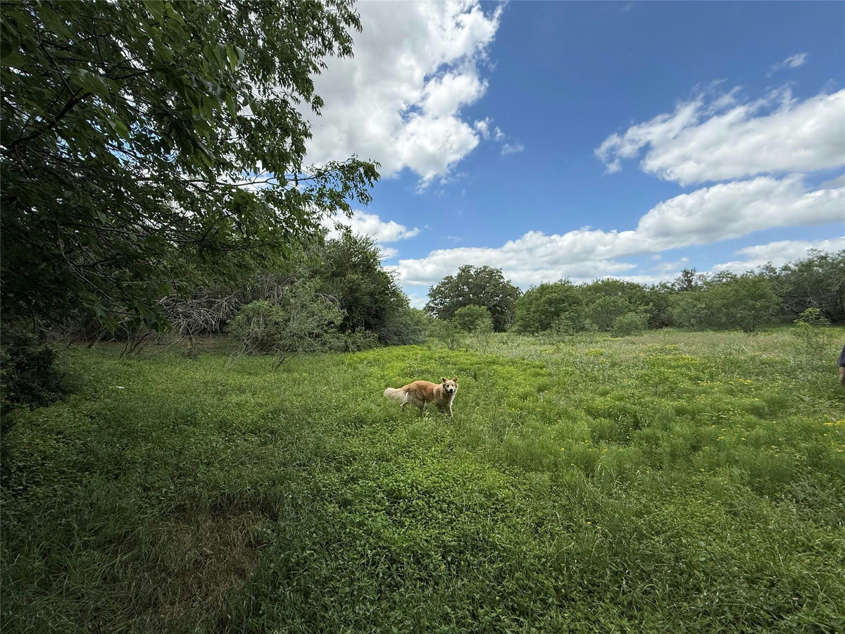 TBD 000 Pettytown Rd — photo 2