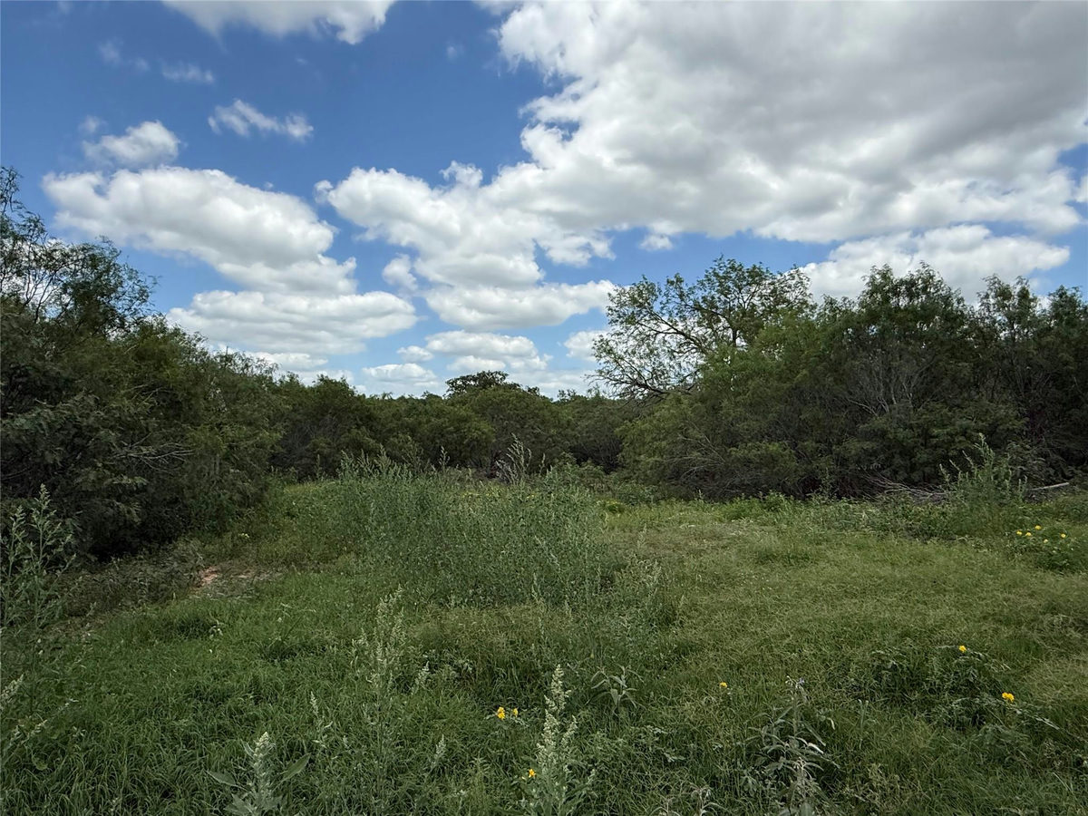 TBD 000 Pettytown Rd — photo 4